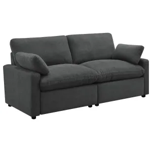 Colleen 2 PC Reclining Sofa