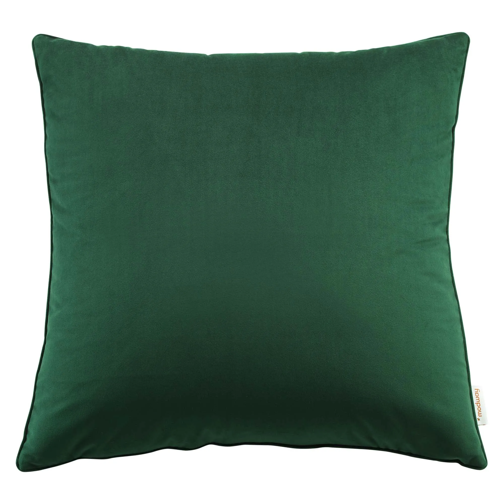 Enhance Performance Velvet Throw Pillow by Modway