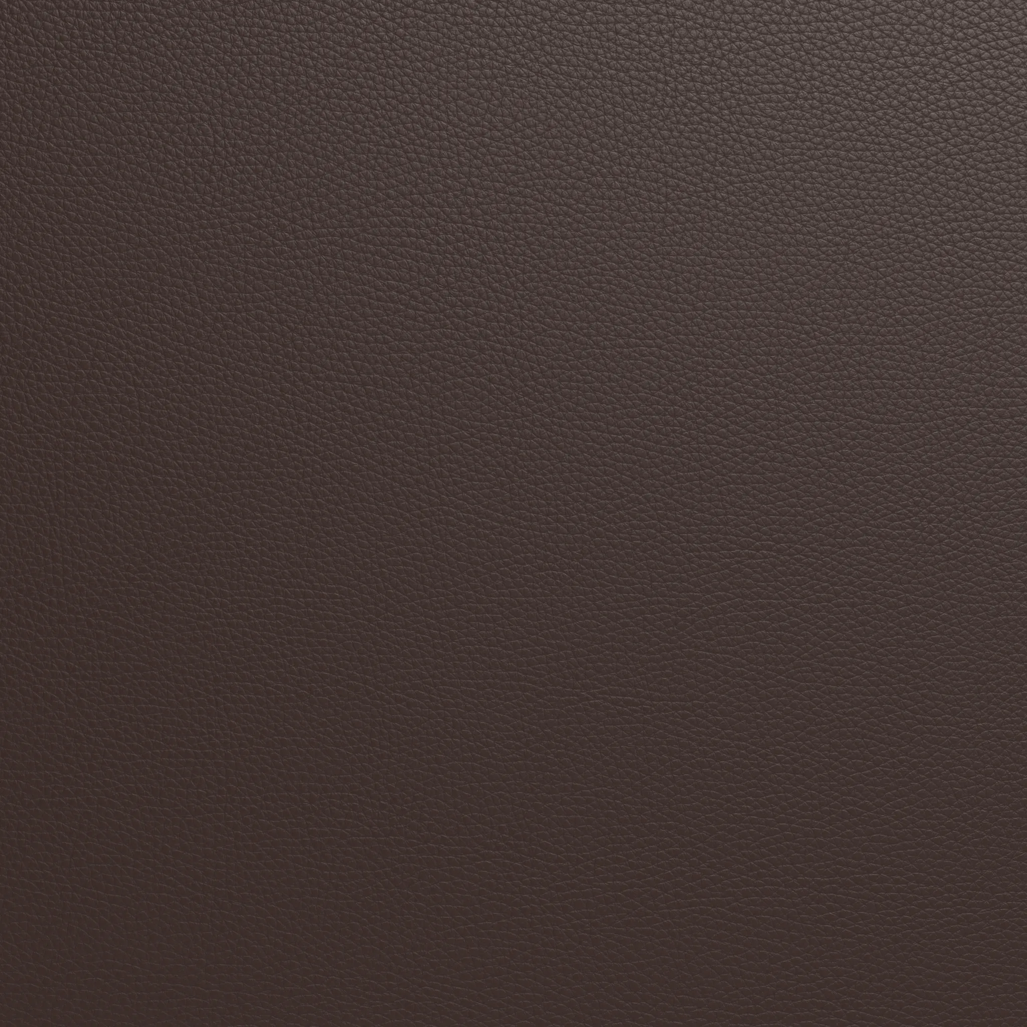 Ladybird Leather Laf Condo Sofa