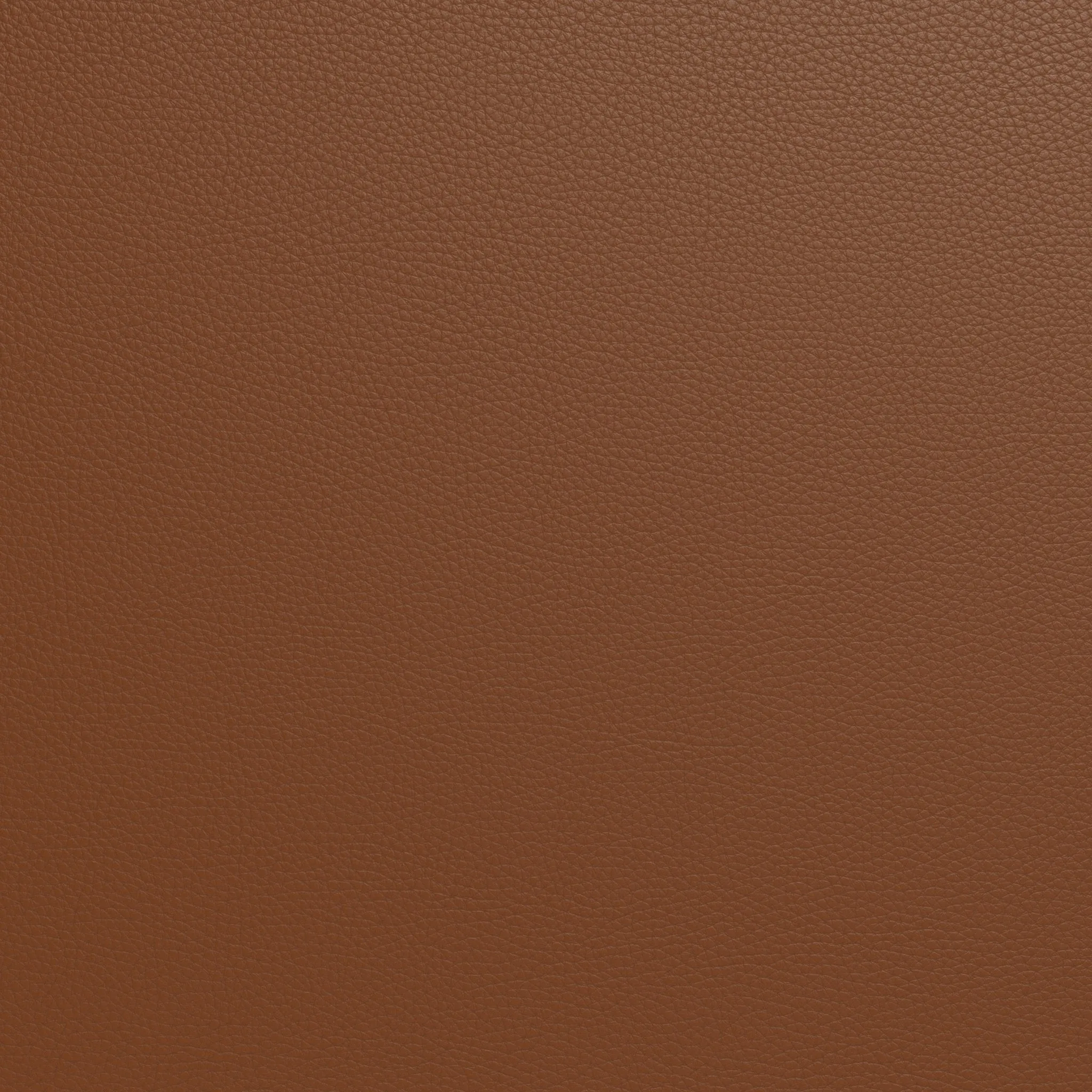 Ladybird Leather RAF Condo Sofa