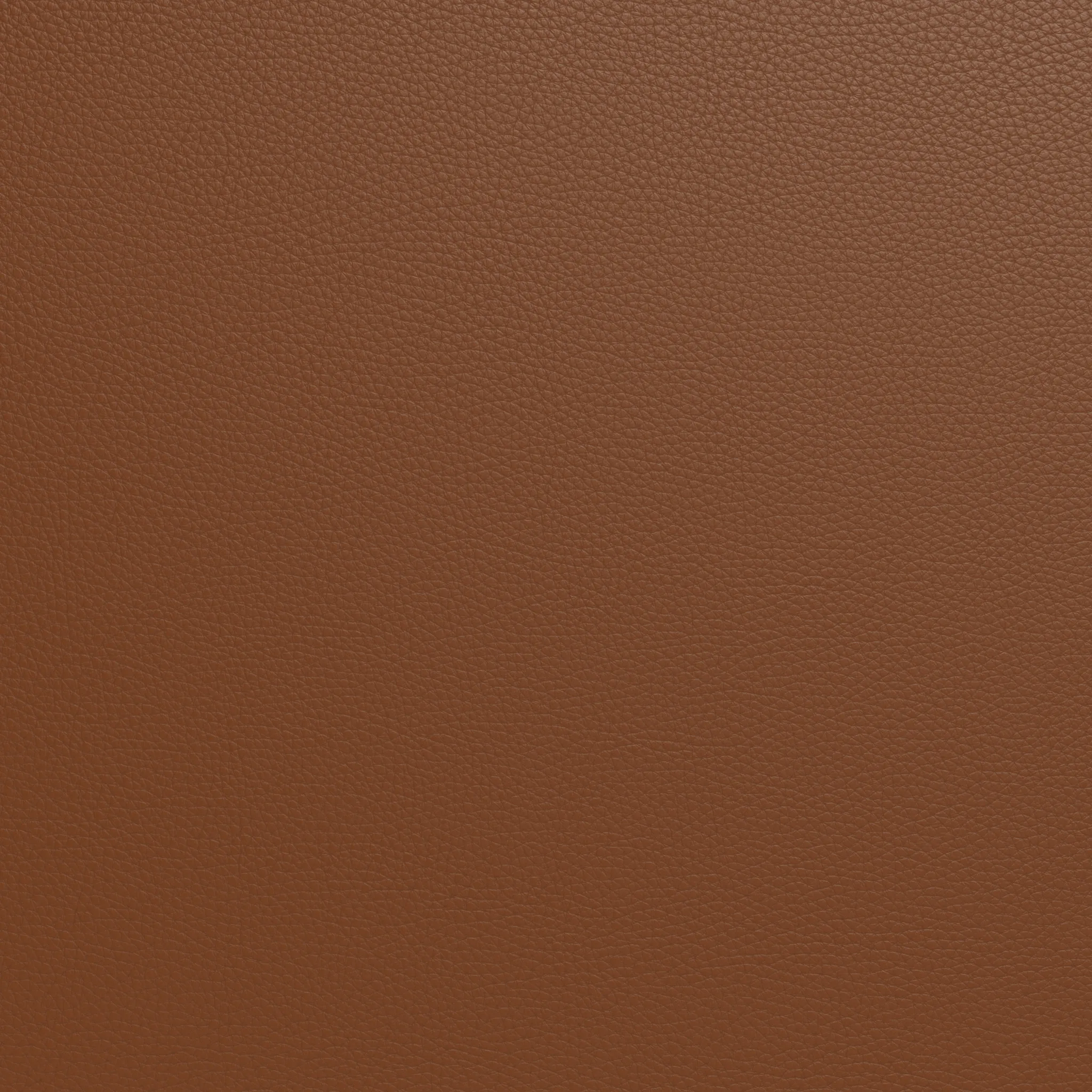 Wallace 52" Leather Untufted Twin Sleeper Sofa