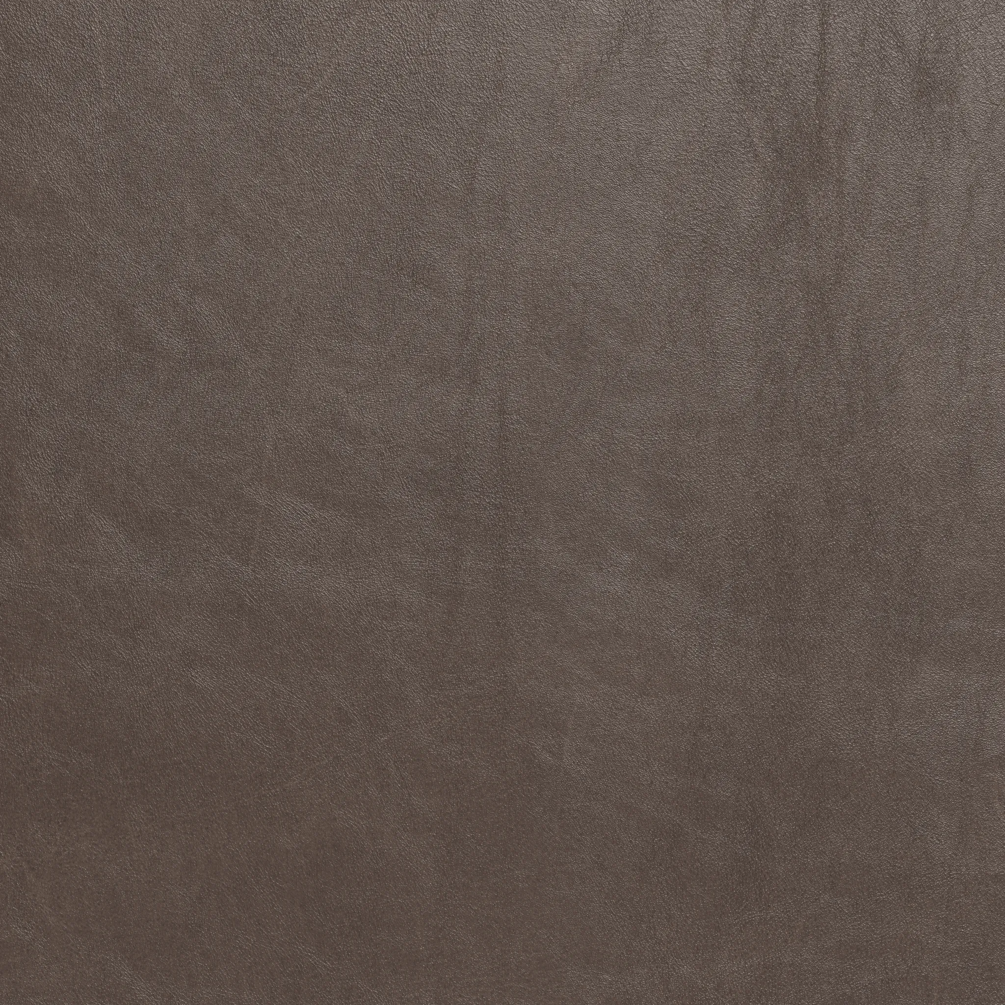 Wallace 52" Leather Untufted Twin Sleeper Sofa